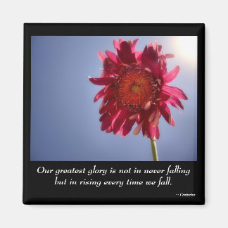 Rosa Flower Glory Magnet