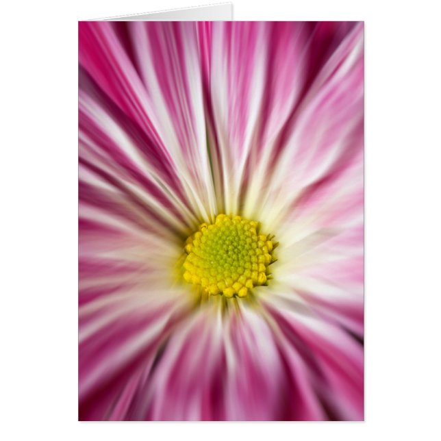 Rosa Flower Hälsningskort (Framsidan)