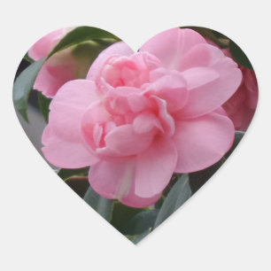 Rosa Flower Heart Sticker Hjärtformat Klistermärke