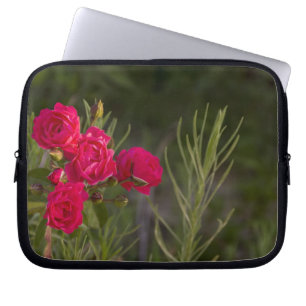 Rosa Flower Laptop Sleeve