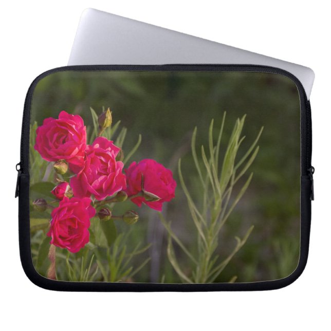 Rosa Flower Laptop Sleeve (Framsidan)