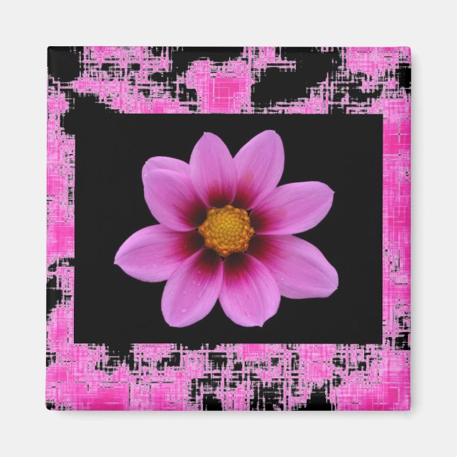 Rosa Flower Magnet (Framsidan)