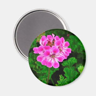 Rosa Flower Magnet
