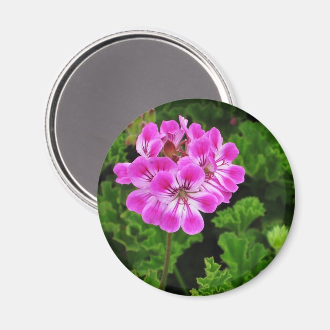 Rosa Flower Magnet (Front/Back)