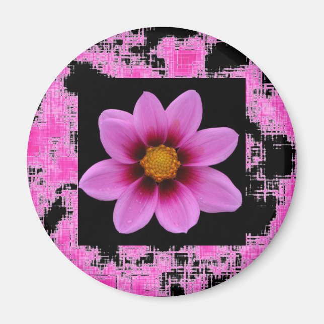 Rosa Flower Magnet (Framsidan)