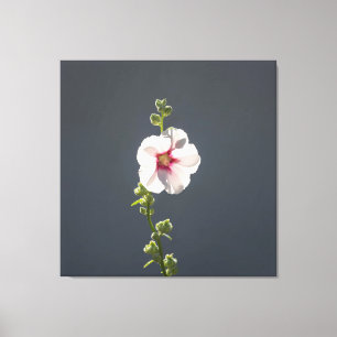 Rosa Flower Mallow grönt löv på mörk grått Canvastryck