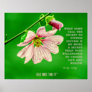 Rosa Flower med Fitness Secret på Grönt Poster