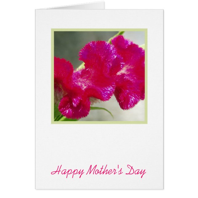 Rosa Flower Mors dag Card Hälsningskort (Framsidan)