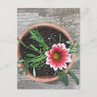Rosa Flower Note Card Inbjudningar