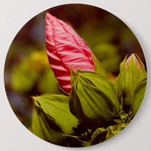 Rosa Flower Photo Badge Knapp