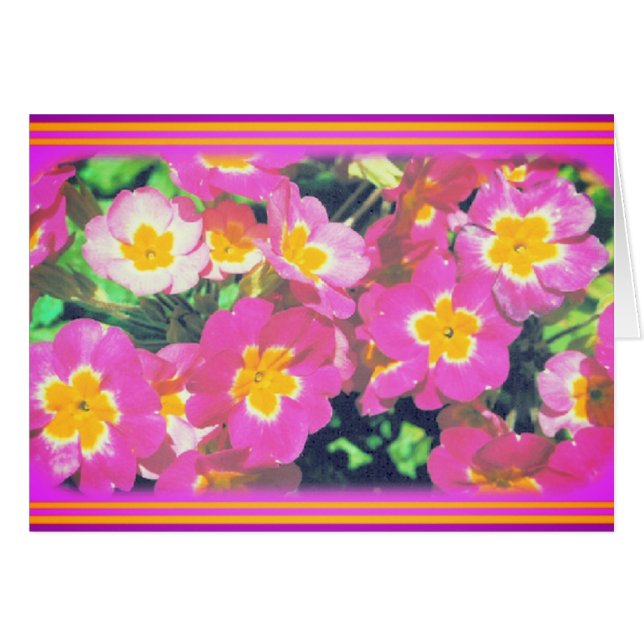 Rosa Flower Photo Card Hälsningskort (Framsidan Horizontal)