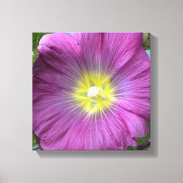 Rosa Flower Photo Single Reproduction Canvastryck