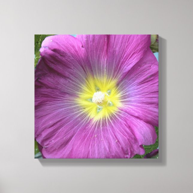 Rosa Flower Photo Single Reproduction Canvastryck (Framsida)