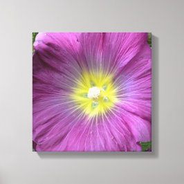 Rosa Flower Photo Single Reproduction Canvastryck
