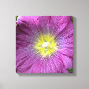 Rosa Flower Photo Single Reproduction Canvastryck