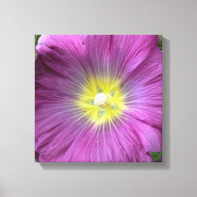 Rosa Flower Photo Single Reproduction Canvastryck (Framsida)