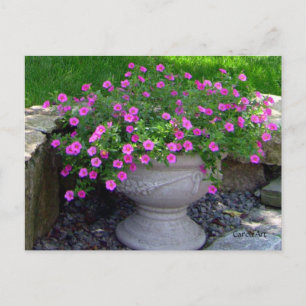 Rosa Flower Planter-kort Vykort