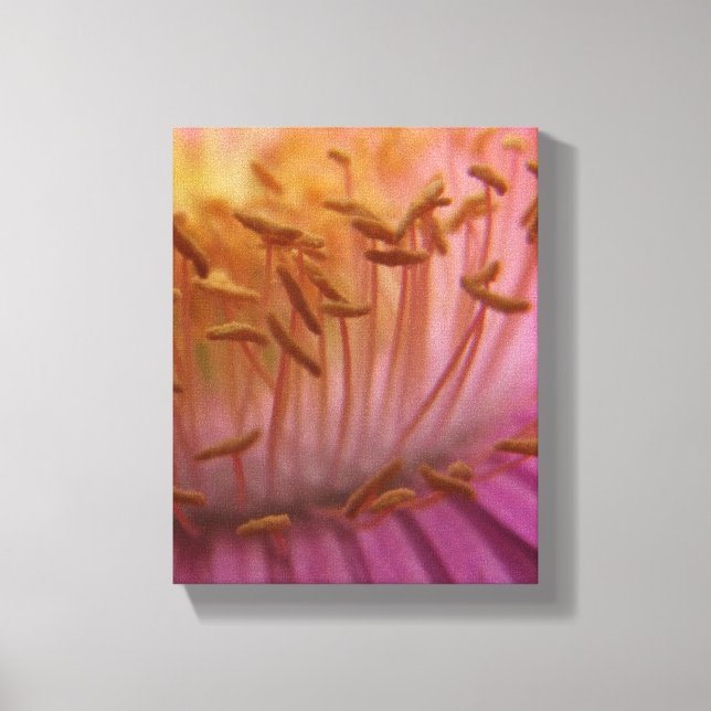 Rosa Flower Pollen Canvas (Framsida)