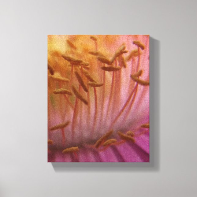 Rosa Flower Pollen Canvas (Framsida)