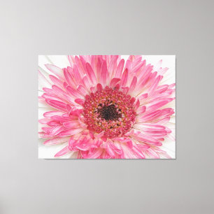 Rosa Flower-Rosa Design för babyskor Canvastryck