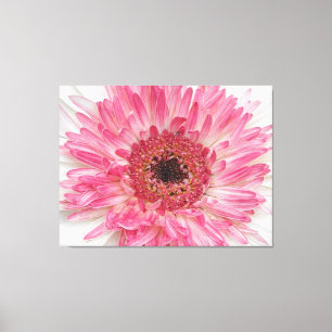 Rosa Flower-Rosa Design för babyskor Canvastryck