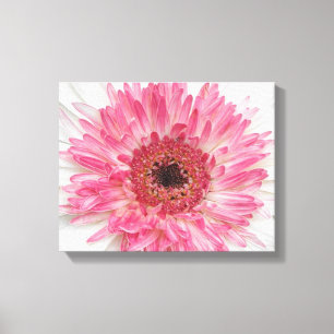 Rosa Flower-Rosa Design för babyskor Canvastryck