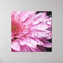 Rosa Flower Toppen Makro med rabattfält