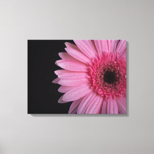 Rosa Flower Wrapped Canvas
