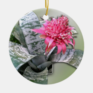 Rosa Flowered Bromeliad Julgransprydnad Keramik