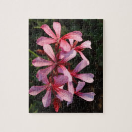 Rosa Flowers 8x10 Photo Puzzle with Gift Box Pussel