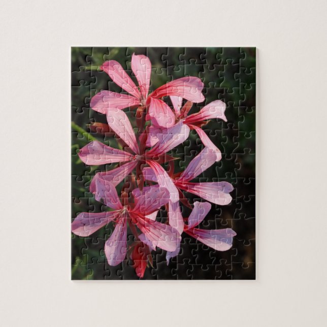 Rosa Flowers 8x10 Photo Puzzle with Gift Box Pussel (Vertikal)