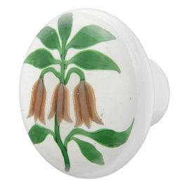 Rosa Flowers Bell Shape Elegant Victorian Knopp