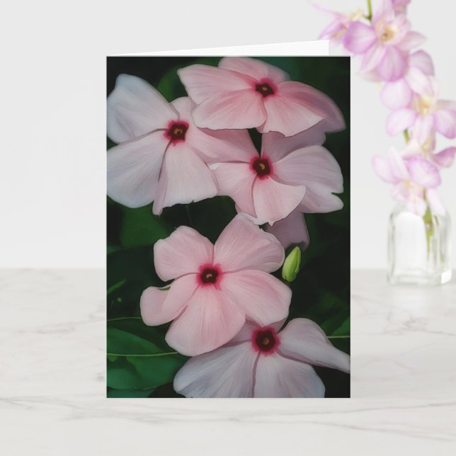 Rosa Flowers Blommigt Art Blank Note Card Kort (Orkide)