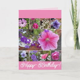 Rosa Flowers Blommigt Ro Petunia Daisy Birthday Kort