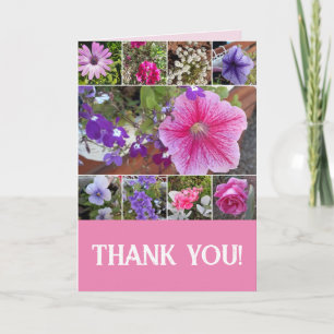 Rosa Flowers Blommigt Ro Petunia Tack Kort