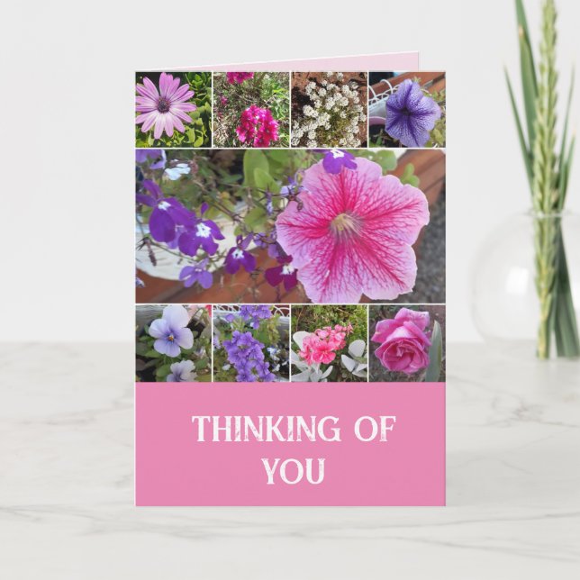 Rosa Flowers Blommigt Ro Petunia tänker på dig Kort (Framsida)
