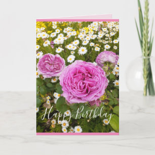 Rosa Flowers Blommigt Ro Rosor Daisy Birthday Kort