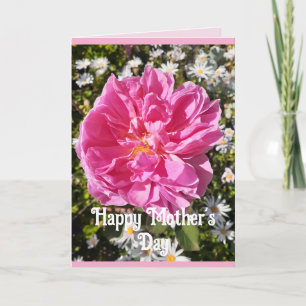 Rosa Flowers Blommigt Ro Rosor Mors dag-kort Kort