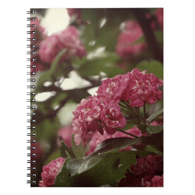 Rosa Flowers Blosoom Photo Notebook (80 sidor per  Anteckningsbok (Framsidan)