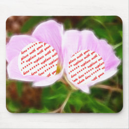 Rosa Flowers Dual Photo Ram Musmatta