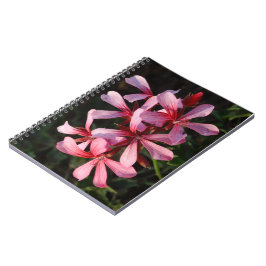 Rosa Flowers-fotopatbok (80 sidor per minut) Anteckningsbok Med Spiral