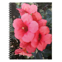 Rosa Flowers fotopatbok - bärbara datorer