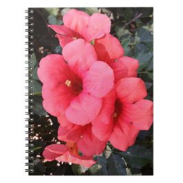 Rosa Flowers fotopatbok - bärbara datorer Anteckningsbok