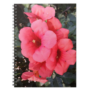 Rosa Flowers fotopatbok - bärbara datorer Anteckningsbok