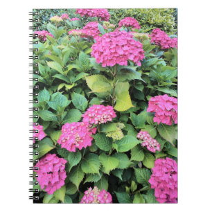 Rosa Flowers fotopatbok - bärbara datorer Anteckningsbok Med Spiral