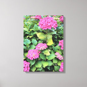Rosa Flowers Hydrangea Single Print Canvastryck