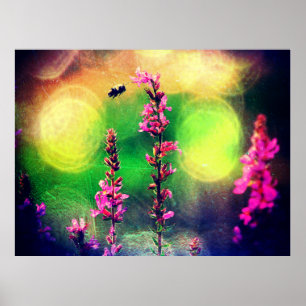 Rosa Flowers N Bee Gult Bokah Poster