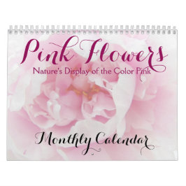 Rosa Flowers Nature Blommigt Beauty Photo Kalender