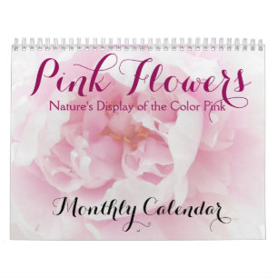 Rosa Flowers Nature Blommigt Beauty Photo Kalender