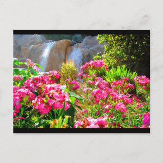 Rosa Flowers och Waterfall Vykort